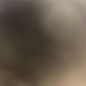 Meet your Posher, Jennie